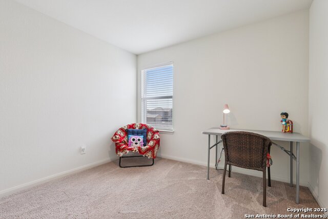 Image 20 of 22 For 3946 Turtle