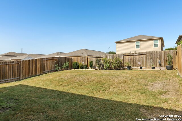 Image 22 of 22 For 3946 Turtle