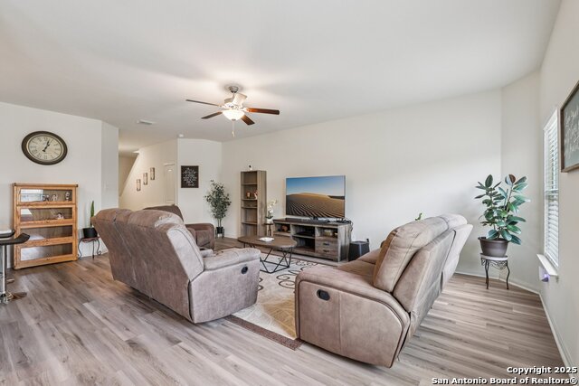 Image 4 of 22 For 3946 Turtle