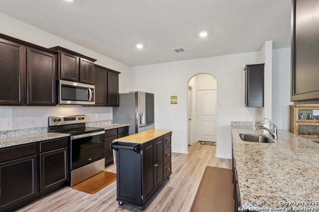 Image 6 of 22 For 3946 Turtle