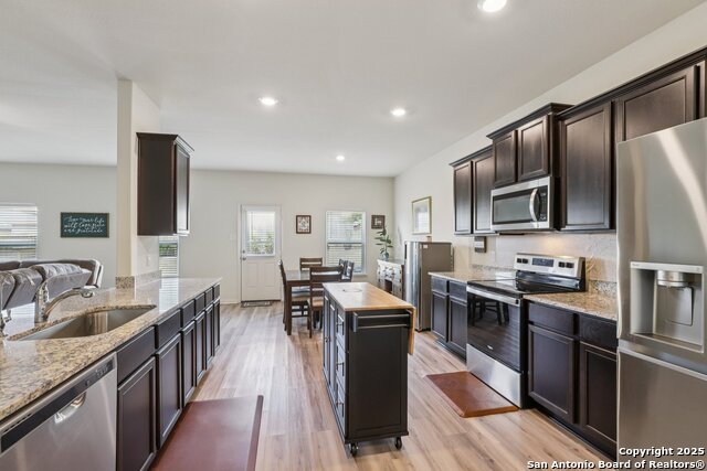 Image 7 of 22 For 3946 Turtle