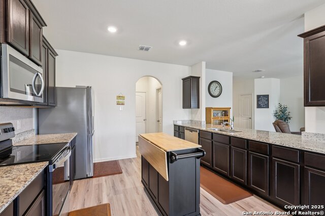 Image 8 of 22 For 3946 Turtle