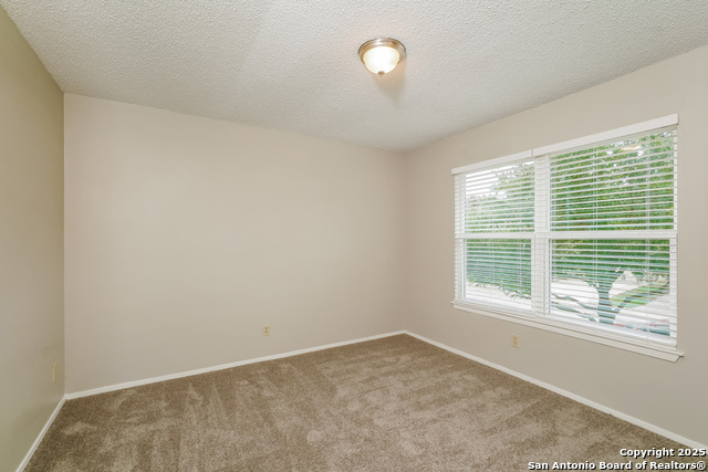 Image 11 of 17 For 5311 Peppermint