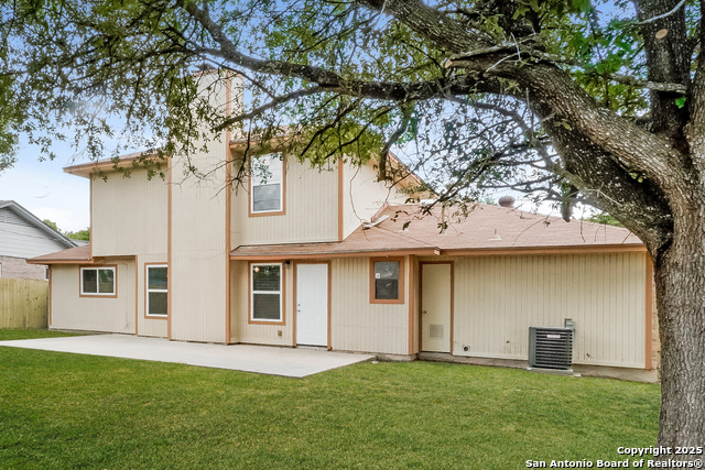 Image 14 of 17 For 5311 Peppermint