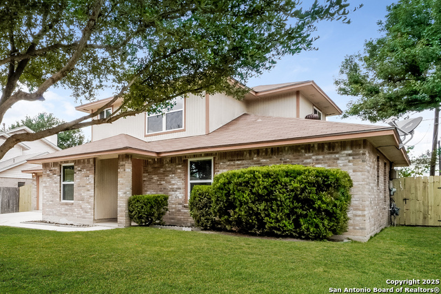 Image 2 of 17 For 5311 Peppermint