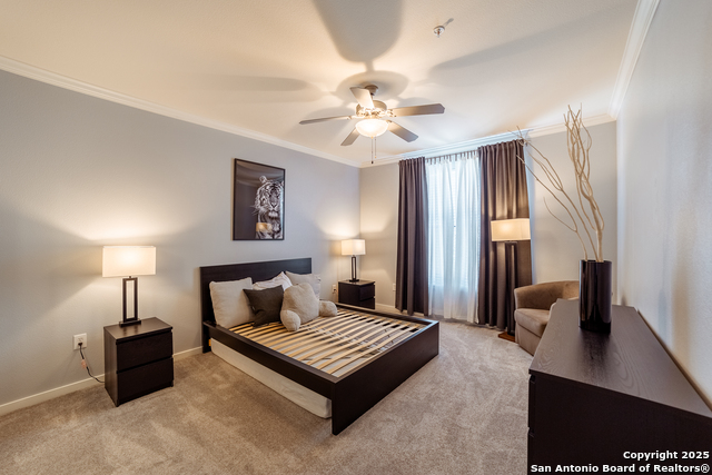 Image 3 of 16 For 7342 Oak Manor  7202