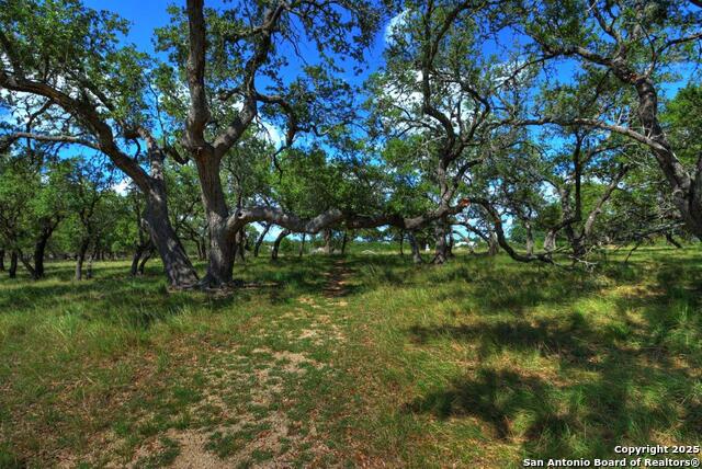 Image 29 of 30 For 142 (b) Four Bears Trail