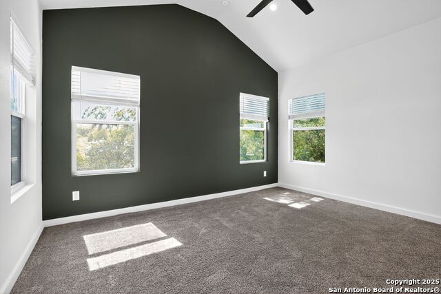 Listing photo id 10 for 1906 Crockett E