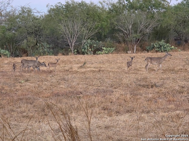 Image 40 of 43 For 320 Pullins Drive