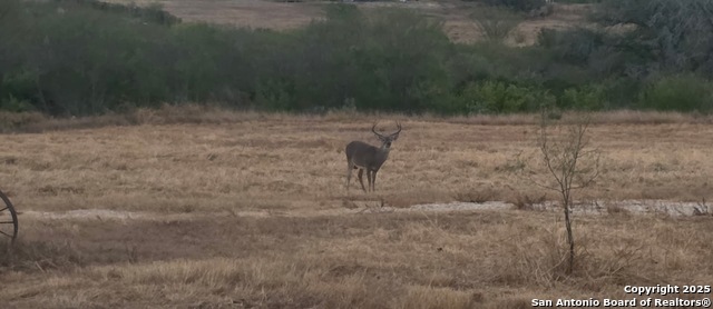 Image 42 of 43 For 320 Pullins Drive