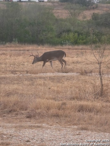 Image 43 of 43 For 320 Pullins Drive