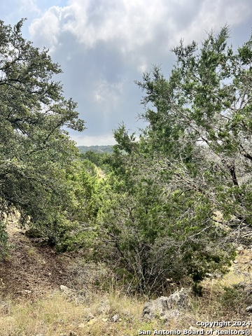 Image 12 of 17 For 1182 Mystic Shores Blvd