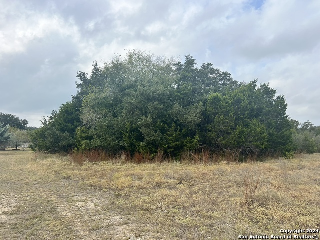 Image 2 of 17 For 1182 Mystic Shores Blvd