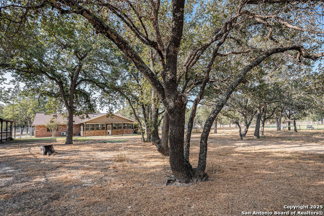 Image 28 of 31 For 1860 Deer  