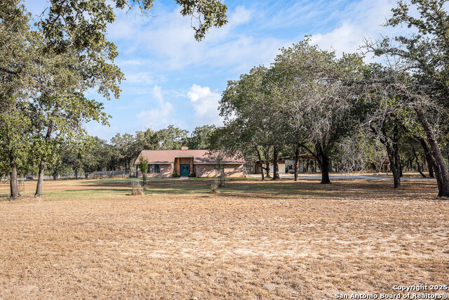 Image 3 of 31 For 1860 Deer  