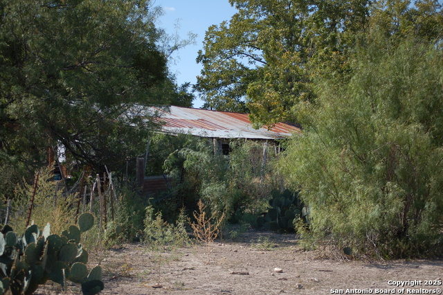 Listing photo id 9 for 493 Park Ln S