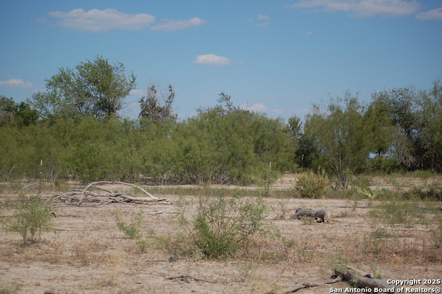 Listing photo id 13 for 493 Park Ln S