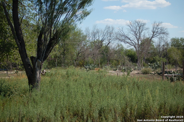 Listing photo id 14 for 493 Park Ln S