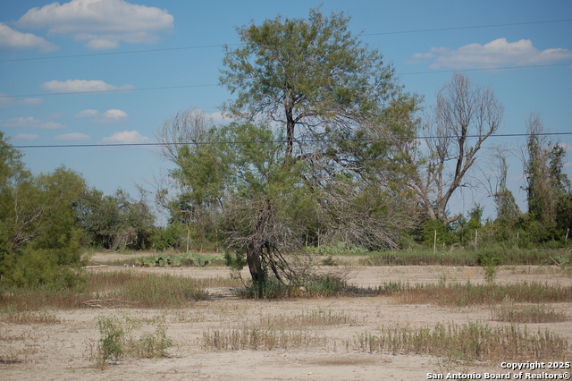 Listing photo id 15 for 493 Park Ln S