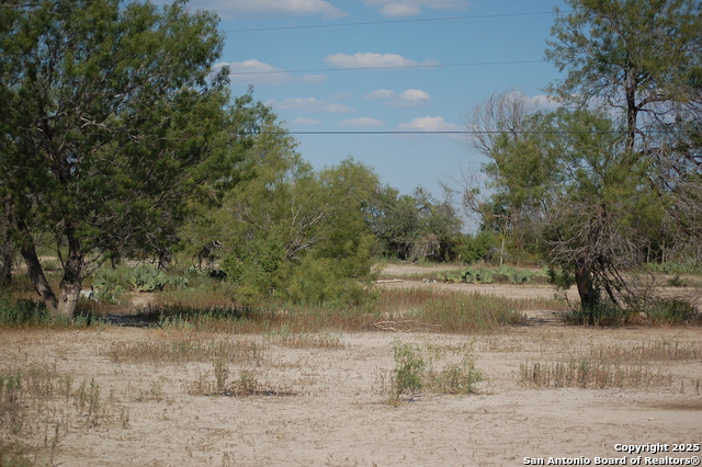 Listing photo id 16 for 493 Park Ln S