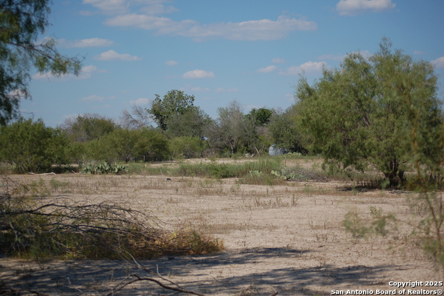 Listing photo id 17 for 493 Park Ln S