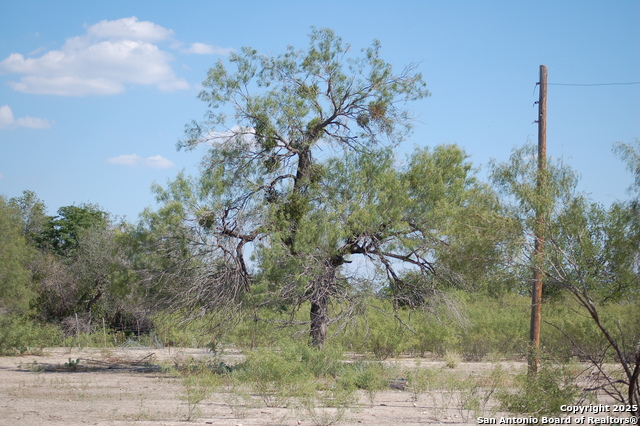 Listing photo id 0 for 493 Park Ln S