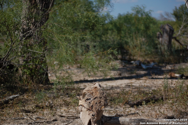 Listing photo id 18 for 493 Park Ln S