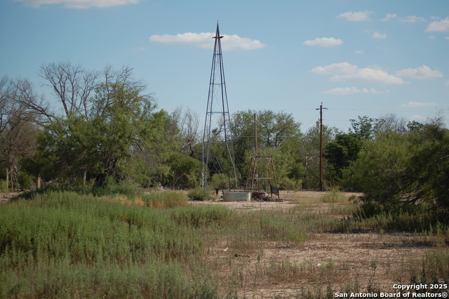 Listing photo id 19 for 493 Park Ln S