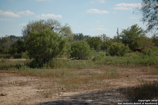 Listing photo id 20 for 493 Park Ln S