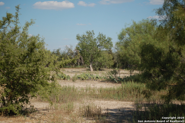 Listing photo id 21 for 493 Park Ln S