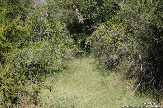 Listing photo id 23 for 493 Park Ln S