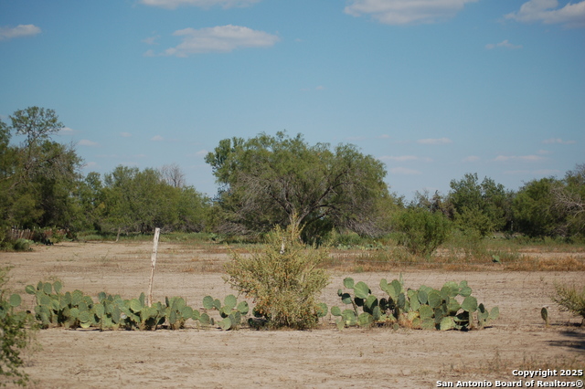 Listing photo id 24 for 493 Park Ln S