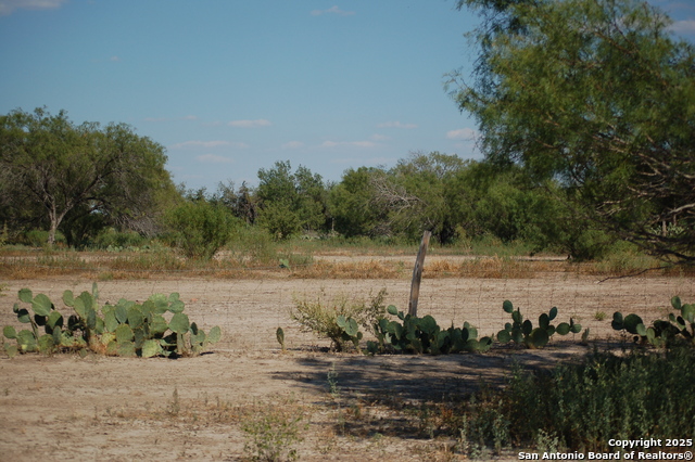 Listing photo id 25 for 493 Park Ln S