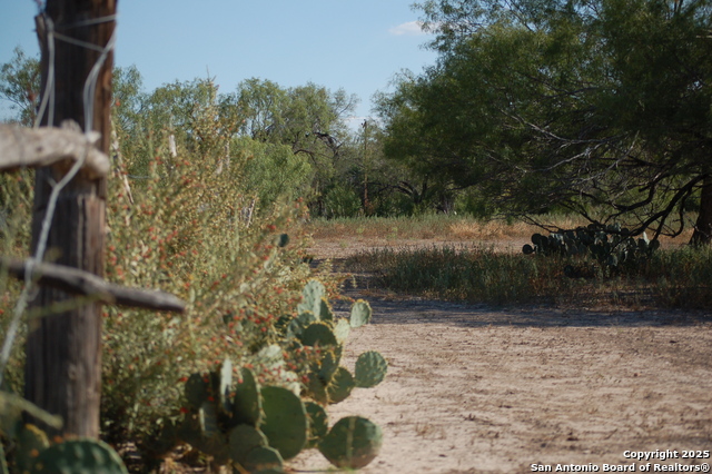 Listing photo id 27 for 493 Park Ln S