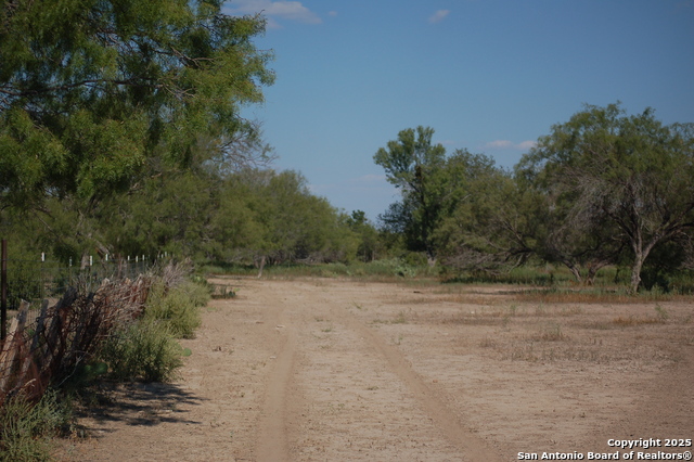 Listing photo id 29 for 493 Park Ln S