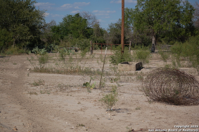 Listing photo id 30 for 493 Park Ln S