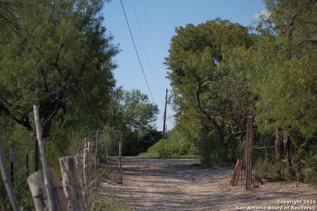 Listing photo id 31 for 493 Park Ln S