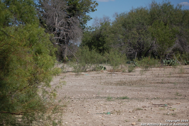 Listing photo id 2 for 493 Park Ln S