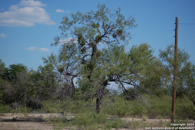 Listing photo id 3 for 493 Park Ln S