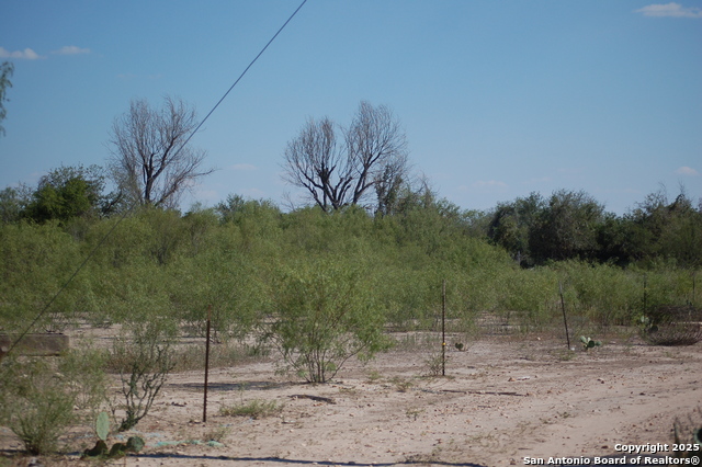 Listing photo id 4 for 493 Park Ln S