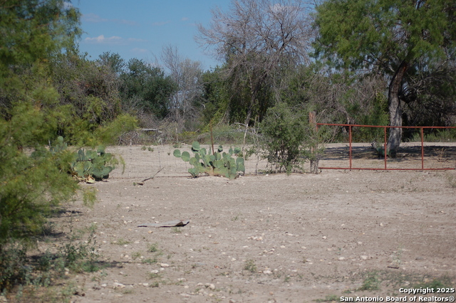 Listing photo id 5 for 493 Park Ln S