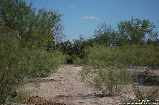 Listing photo id 7 for 493 Park Ln S