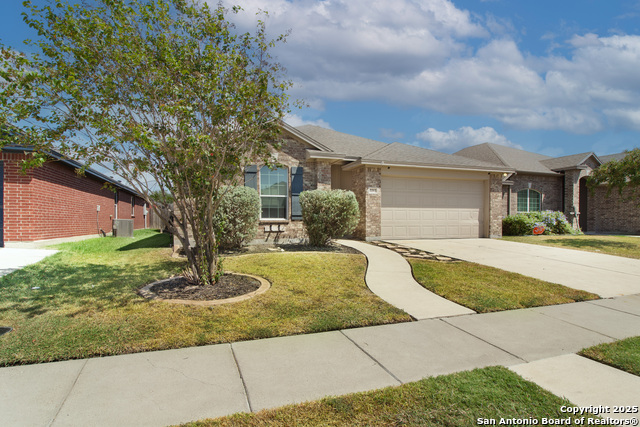 Image 3 of 26 For 2212 Tallow  