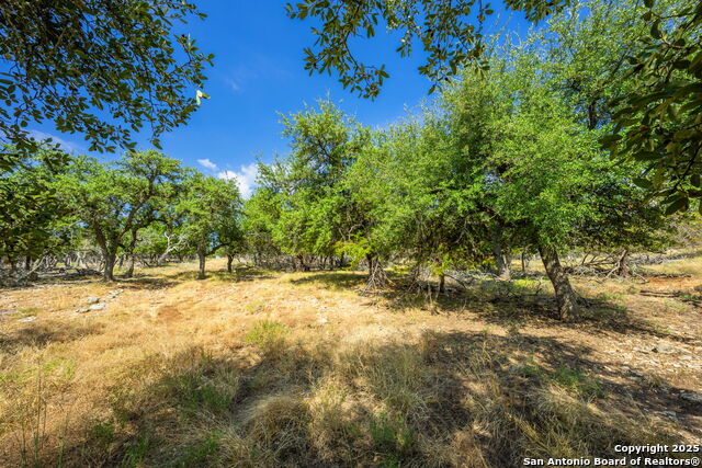 Listing photo id 20 for 1341 Thrill Hill Rd