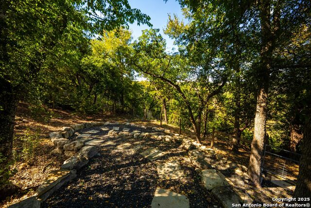 Listing photo id 43 for 631 Menger Springs