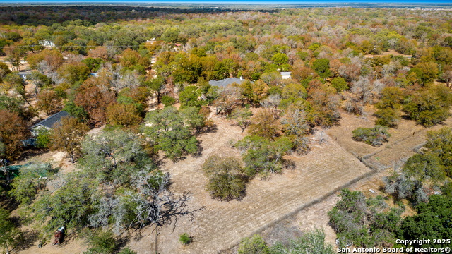 Image 42 of 43 For 22580 Priest