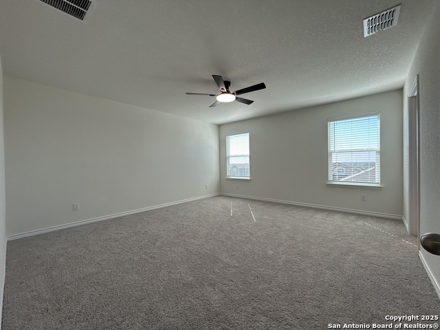 Image 12 of 38 For 11806 Black Rose