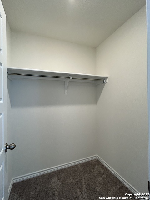 Image 25 of 38 For 11806 Black Rose