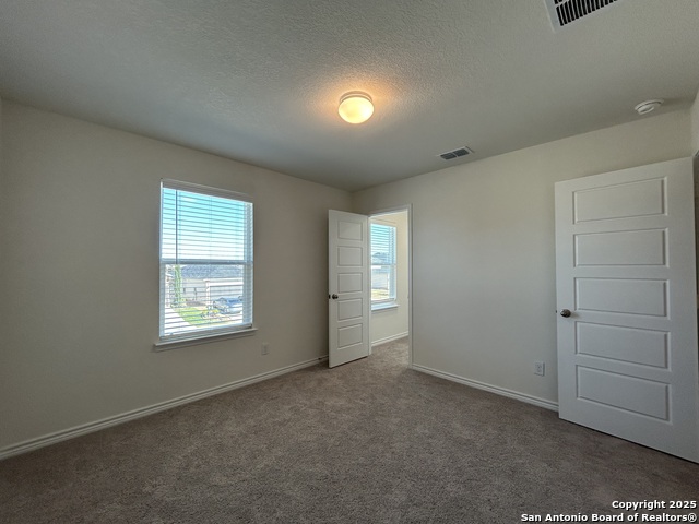 Image 28 of 38 For 11806 Black Rose