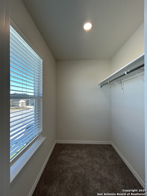 Image 29 of 38 For 11806 Black Rose